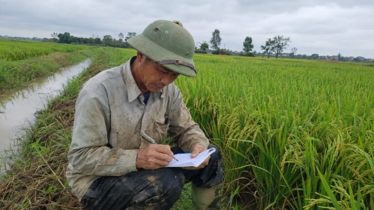 Nông dân ghi lịch kiểm tra sâu bệnh bên ruộng lúa